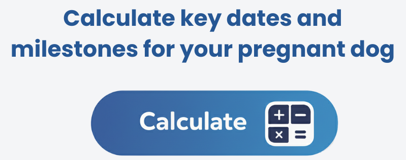 dog-pregnancy-calculator