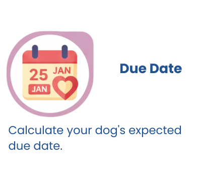due-date-calculator