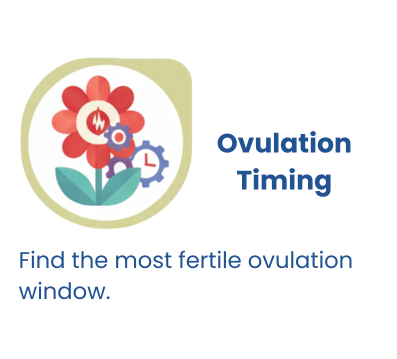 ovulation-timing-calculator