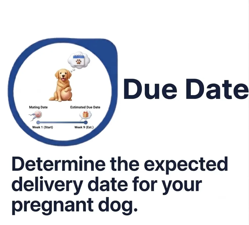 Dog due date calculator with pregnancy timeline and calendar