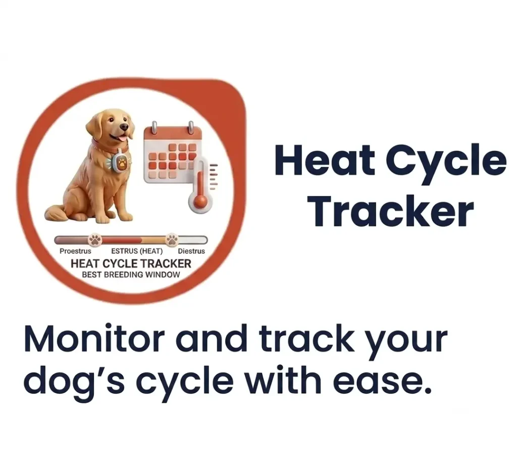 Dog heat cycle tracker tool showing estrus heat phases, temperature tracking, and best breeding window timeline