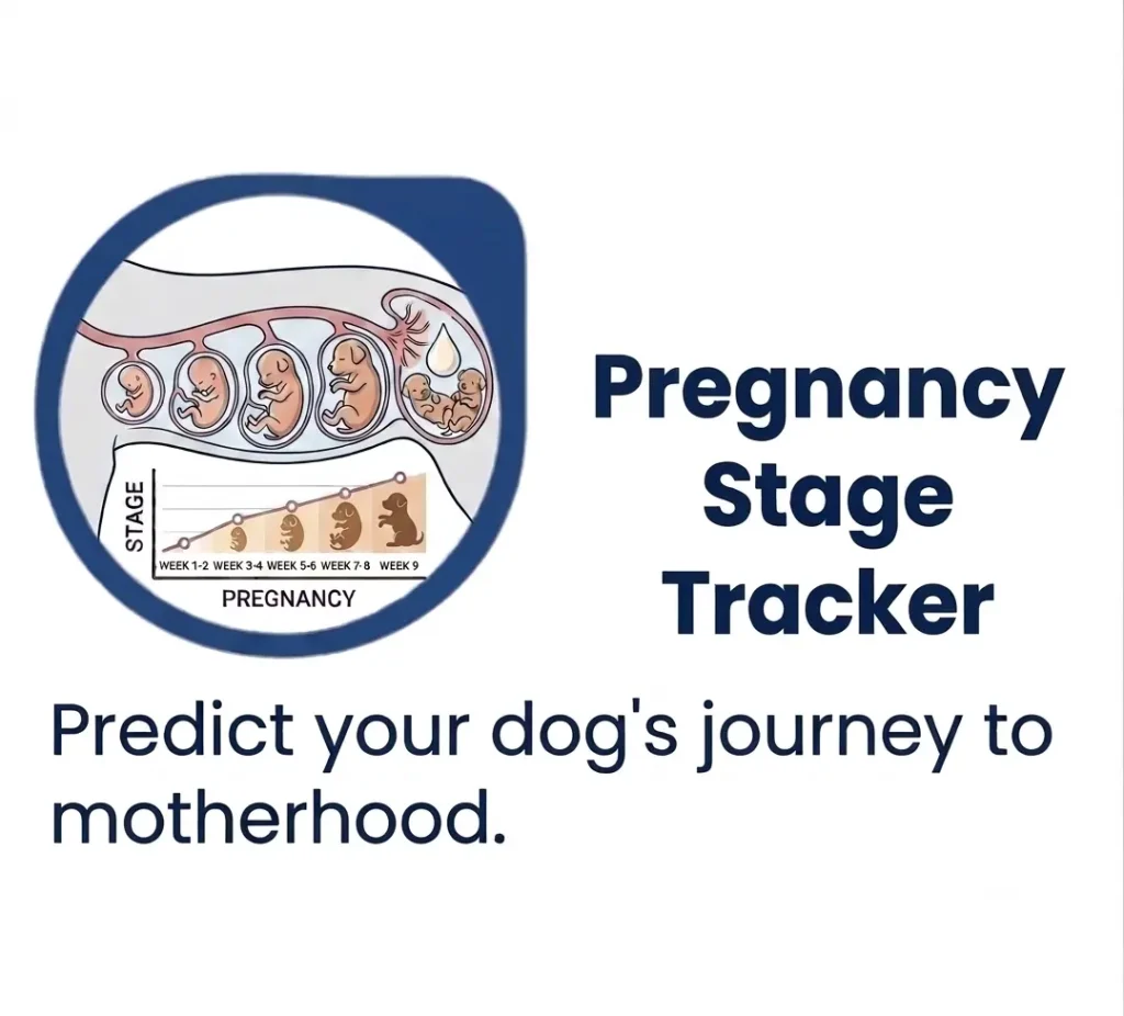 Dog pregnancy stage tracker showing fetal development timeline weeks 1 through 9